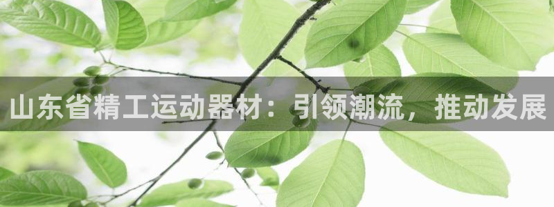 意昂体育4平台注册要钱吗安全吗：山东省精工运动器材：