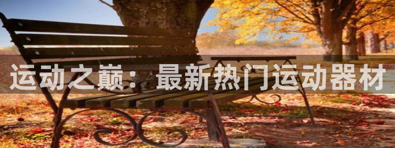 意昂4娱乐下载：运动之巅：最新热门运动器材