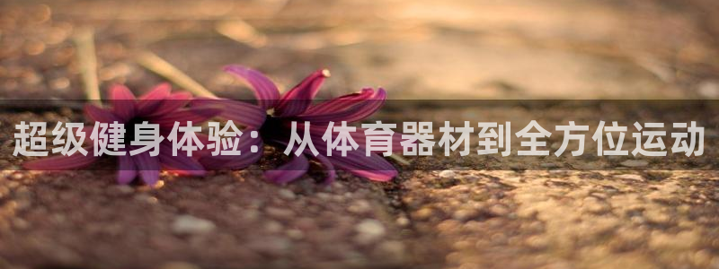 意昂体育4是干嘛的公司：超级健身体验：从体育器材到全