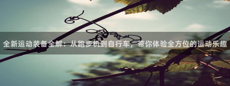 意昂4集团官网首页网址：全新运动装备全解：从跑步机到