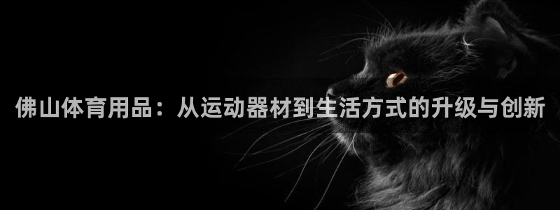 意昂体育4招商电话号码：佛山体育用品：从运动器材到生