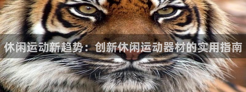 意昂体育4平台是正规平台吗安全吗