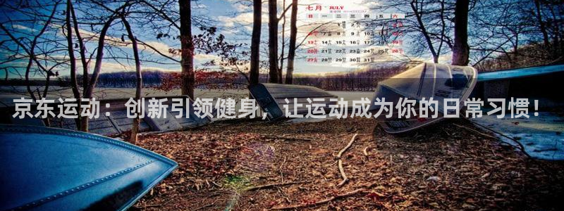 意昂4集团：京东运动：创新引领健身，让运动成为你的日常习惯！
