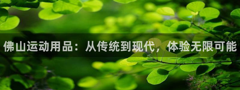 意昂体育4招商电话地址查询：佛山运动用品：从传统到现代，体验