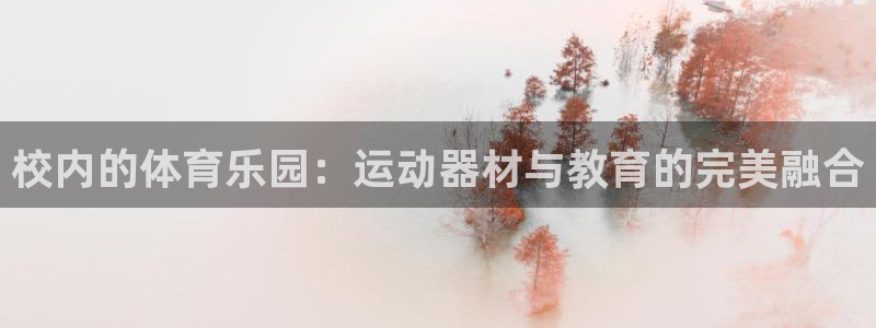 意昂4集团官网首页：校内的体育乐园：运动器材与教育的