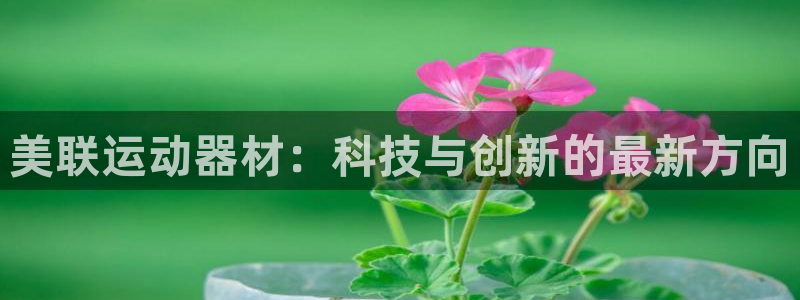 海南意昂体育4发展怎么样