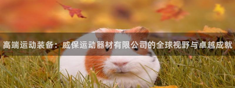 意昂体育4平台是正规平台吗知乎