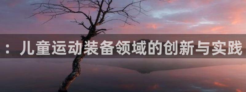 意昂体育4是干嘛的公司：：儿童运动装备领域的创新与实