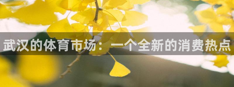 注册意昂4：武汉的体育市场：一个全新的消费热点