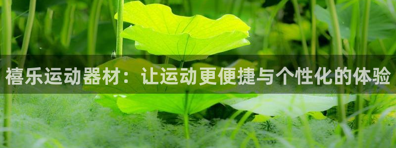 意昂4娱乐：禧乐运动器材：让运动更便捷与个性化的体验
