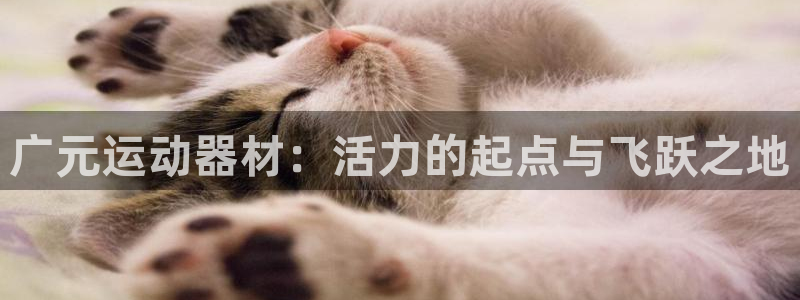 意昂体育4招商电话号码是多少：广元运动器材：活力的起点与飞跃