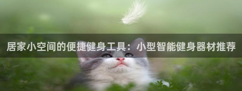 意昂体育4招商电话号码是多少号：居家小空间的便捷健身工具：小
