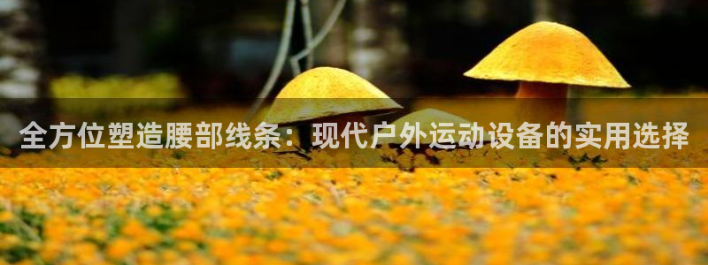 意昂4集团官网首页：全方位塑造腰部线条：现代户外运动设备的实