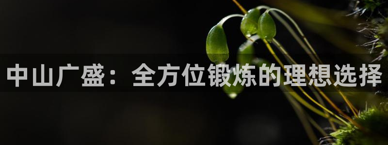 意昂体育4招商电话号码是多少啊