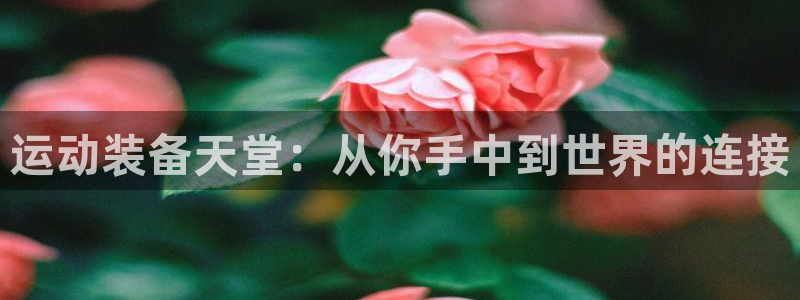 意昂4神州