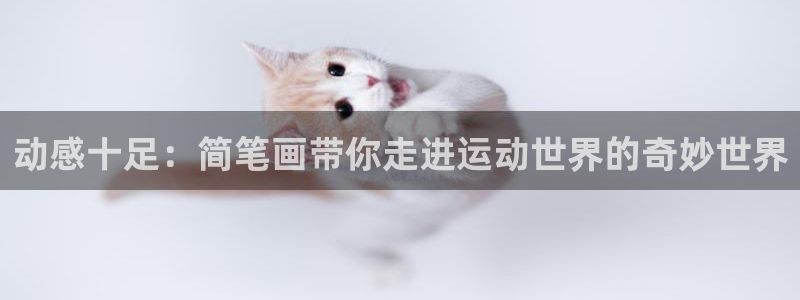 意昂4科技