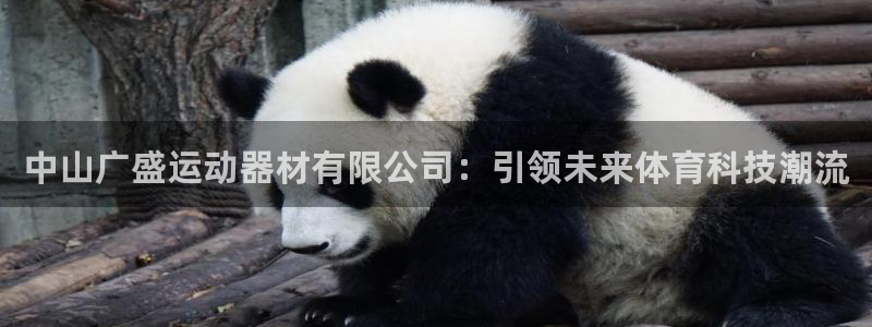海南意昂体育4：中山广盛运动器材有限公司：引领未来体育科技潮