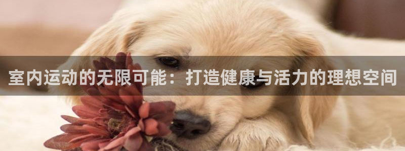 意昂体育4招商电话：室内运动的无限可能：打造健康与活力的理想