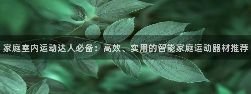 意昂体育4招商电话号码是多少号：家庭室内运动达人必备：高效、