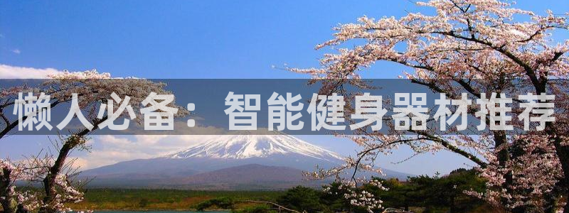 意昂体育4平台APP：懒人必备：智能健身器材推荐