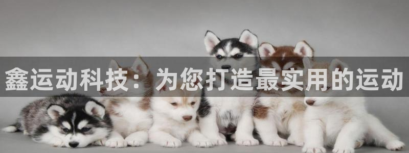 意昂4官方
