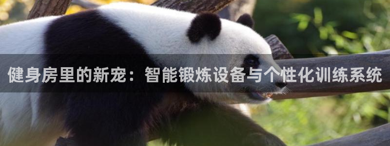 意昂体育4平台APP：健身房里的新宠：智能锻炼设备与
