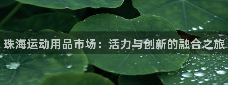 意昂4集团官网首页：珠海运动用品市场：活力与创新的融
