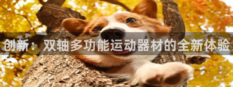 意昂4官网：创新：双轴多功能运动器材的全新体验