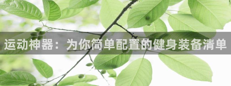 意昂4娱乐40996：运动神器：为你简单配置的健身装