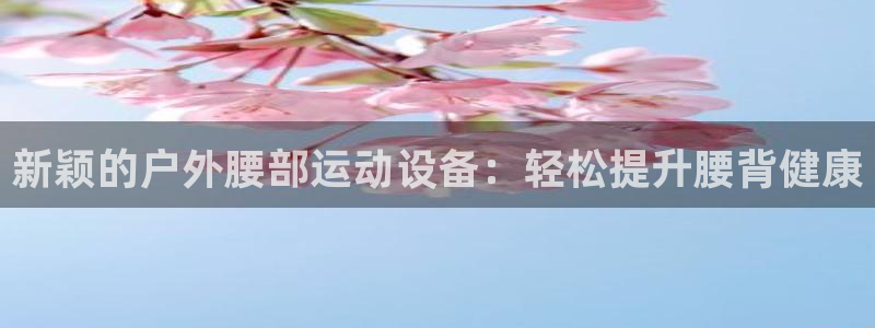 意昂4集团官网网址：新颖的户外腰部运动设备：轻松提升