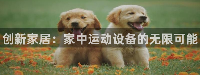 意昂体育4招商：创新家居：家中运动设备的无限可能
