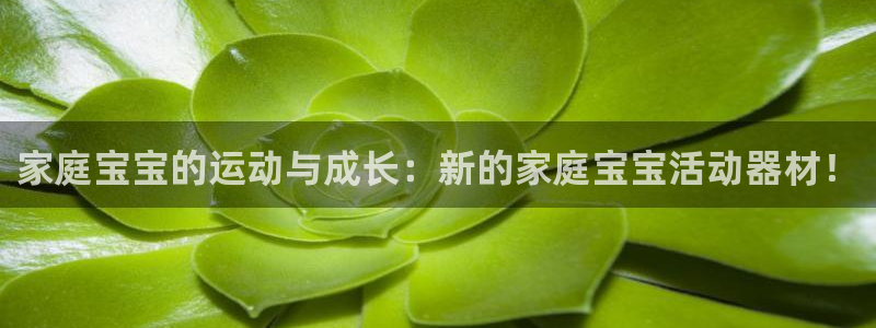 意昂体育4：家庭宝宝的运动与成长：新的家庭宝宝活动器