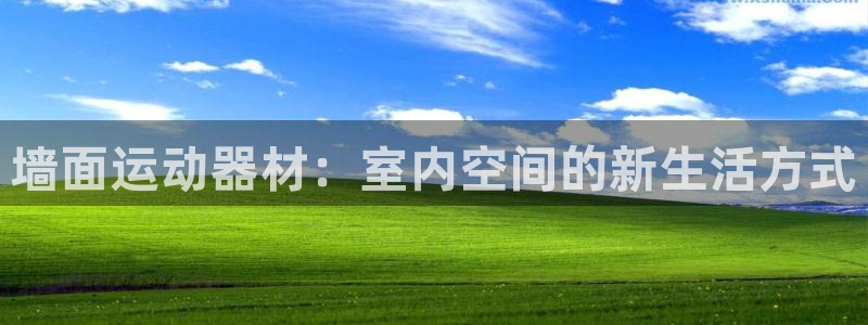 意昂4娱乐首页网站大全：墙面运动器材：室内空间的新生