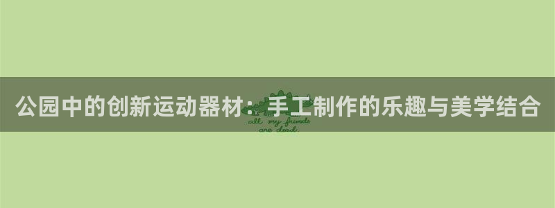 意昂体育4：公园中的创新运动器材：手工制作的乐趣与美