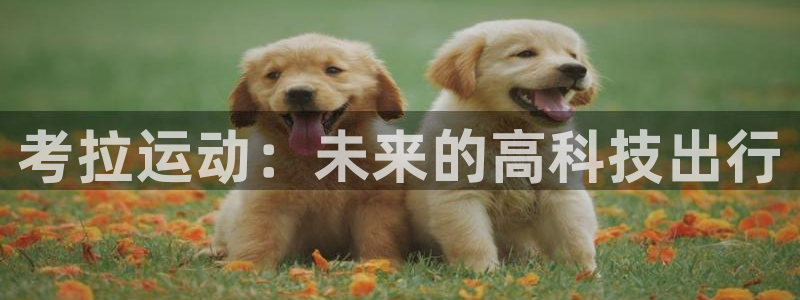 意昂4集团官网首页网址：考拉运动：未来的高科技出行