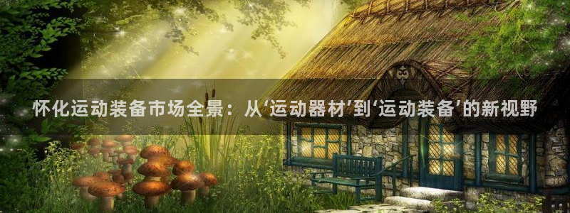 意昂4官网：怀化运动装备市场全景：从‘运动器材’到‘运动装备