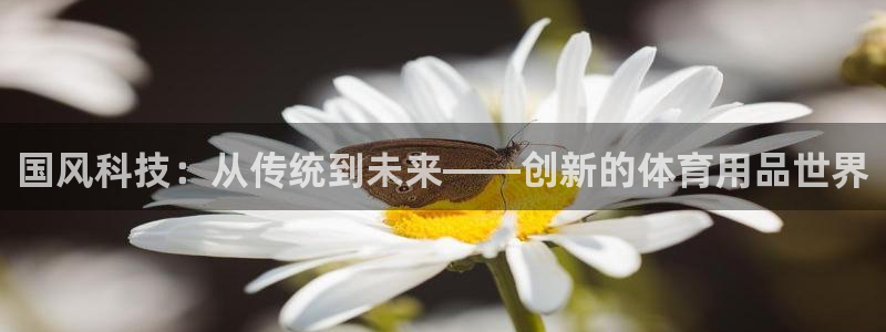意昂体育4招商：国风科技：从传统到未来——创新的体育