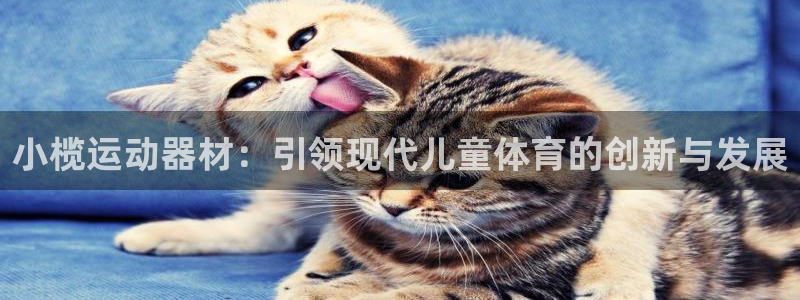 意昂体育4招商电话号码查询是多少：小榄运动器材：引领现代儿童
