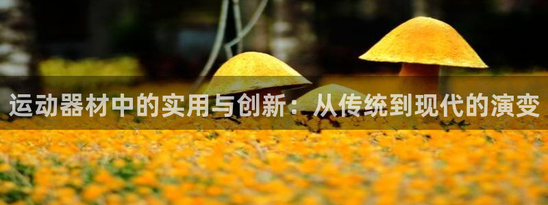 意昂体育4平台注册流程视频：运动器材中的实用与创新：从传统到