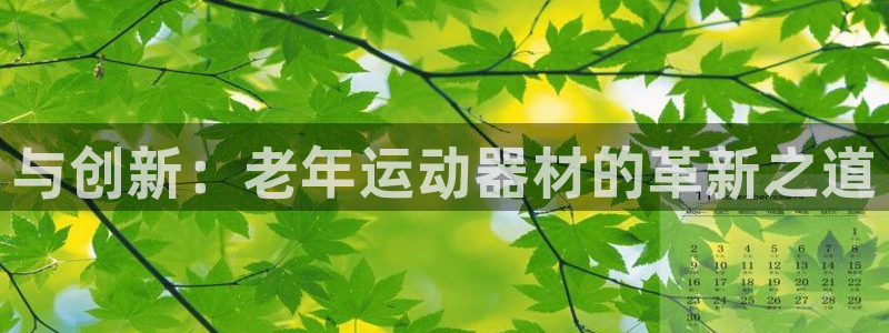 意昂体育4平台注册流程图：与创新：老年运动器材的革新之道