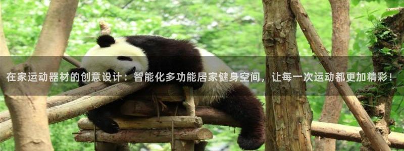 意昂体育4是干嘛的公司：在家运动器材的创意设计：智能