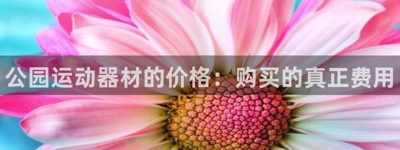意昂体育4平台注册流程图：公园运动器材的价格：购买的真正费用