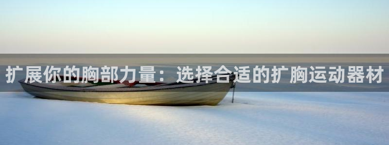 意昂4官方：扩展你的胸部力量：选择合适的扩胸运动器材