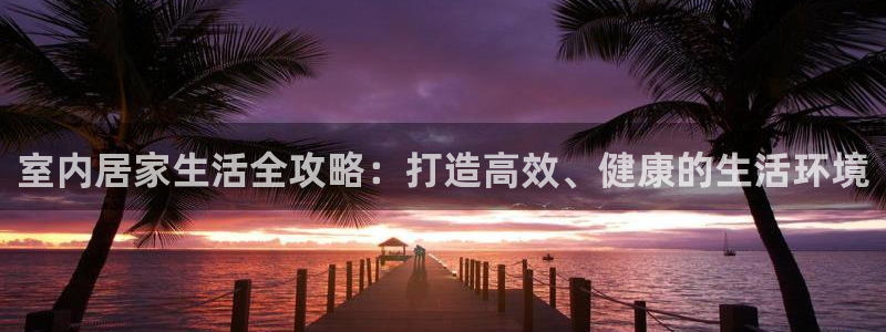 意昂4娱乐平台：室内居家生活全攻略：打造高效、健康的生活环境