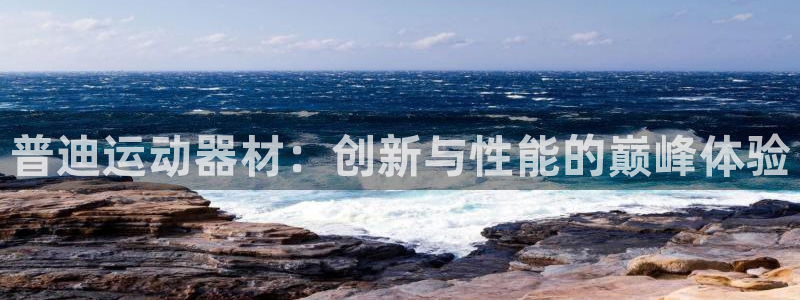 意昂体育4平台注册流程图：普迪运动器材：创新与性能的巅峰体验