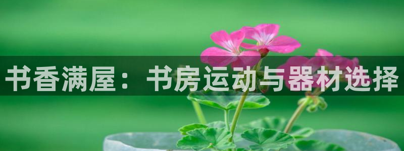意昂4五金厂：书香满屋：书房运动与器材选择