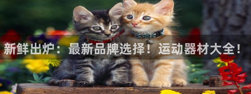 意昂体育4娱乐
