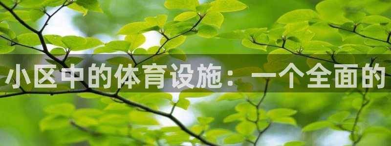 意昂体育4平台注册要钱吗安全吗：小区中的体育设施：一