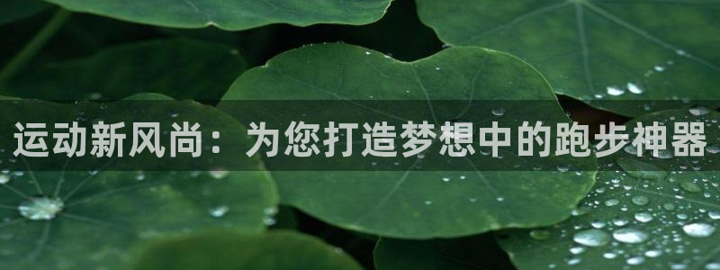 海南意昂体育4发展怎么样