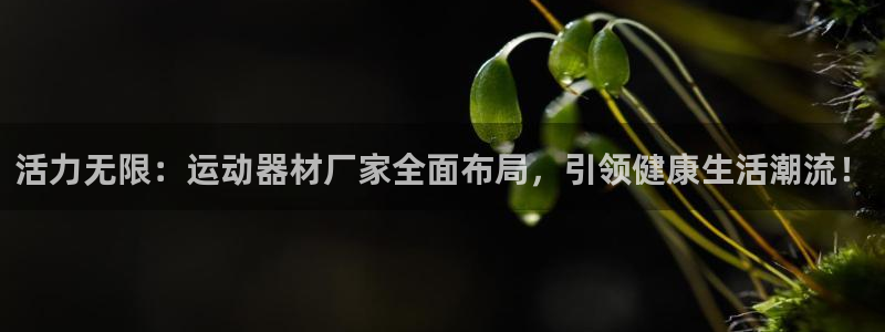 意昂4科技：活力无限：运动器材厂家全面布局，引领健康